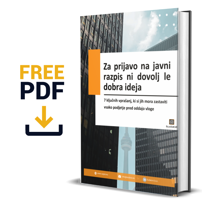 PDF priročnik vsebuje 7 ključnih vprašanj, ki si jih mora zastaviti vsako podjetje pred oddajo razpisne vloge.